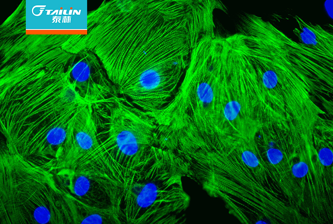 Bet¡¤365(ÑÇÖÞ)Ψһ¹Ù·½ÍøÕ¾